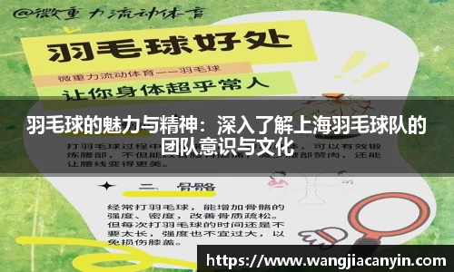 羽毛球的魅力与精神：深入了解上海羽毛球队的团队意识与文化
